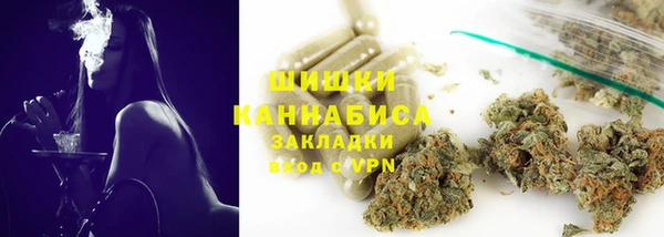 ПСИЛОЦИБИНОВЫЕ ГРИБЫ Аркадак