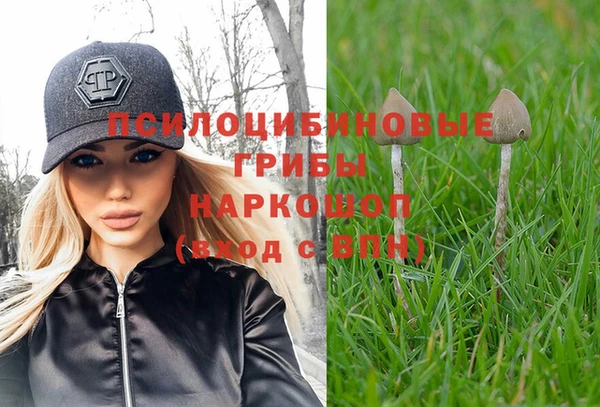ПСИЛОЦИБИНОВЫЕ ГРИБЫ Аркадак