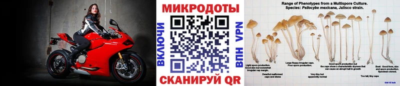 Купить где  Лобня  Псилоцибиновые грибы MAGIC MUSHROOMS 
